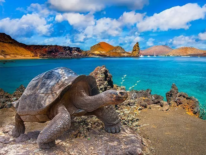 Peru & Ecuador med øyhopping på Galapagosøyene