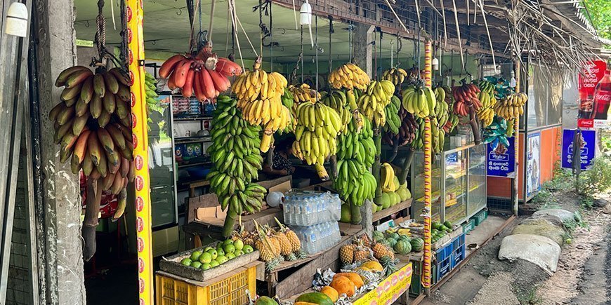 Veibod med bananer i forskjellige farger