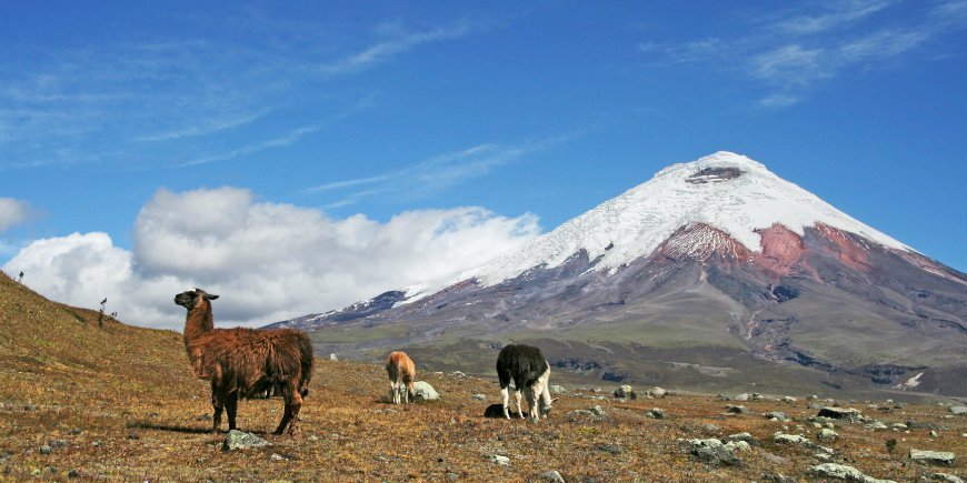 Cotopaxi nasjonalpark