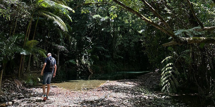Mann står i Daintree-regnskogen i Australia