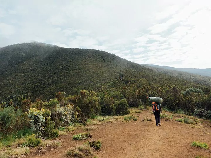 Arbeidsforhold for guider og bærere, Kilimanjaro