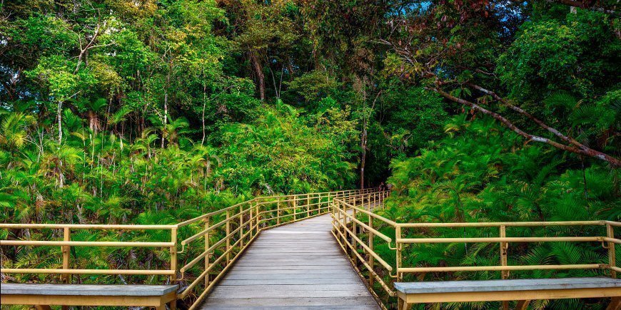 En sti til Manuel Antonio i Costa Rica