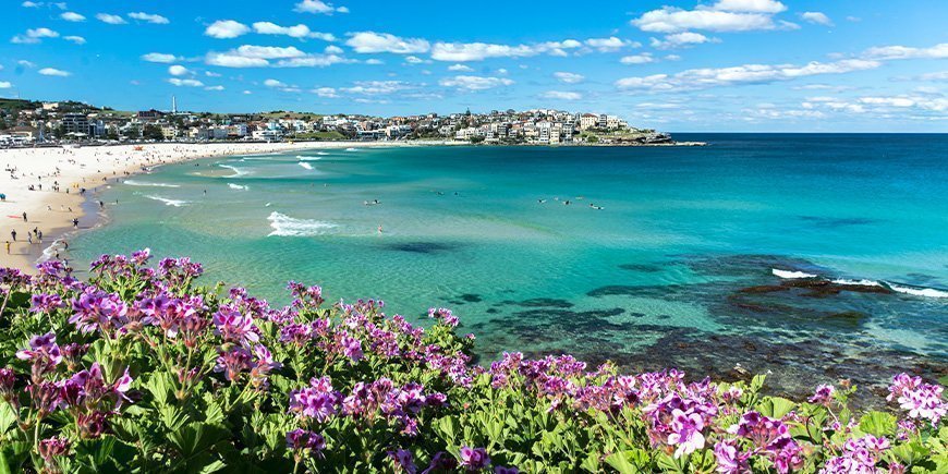 Blomstene blomstrer på Bondi Beach i Sydney, Australia.