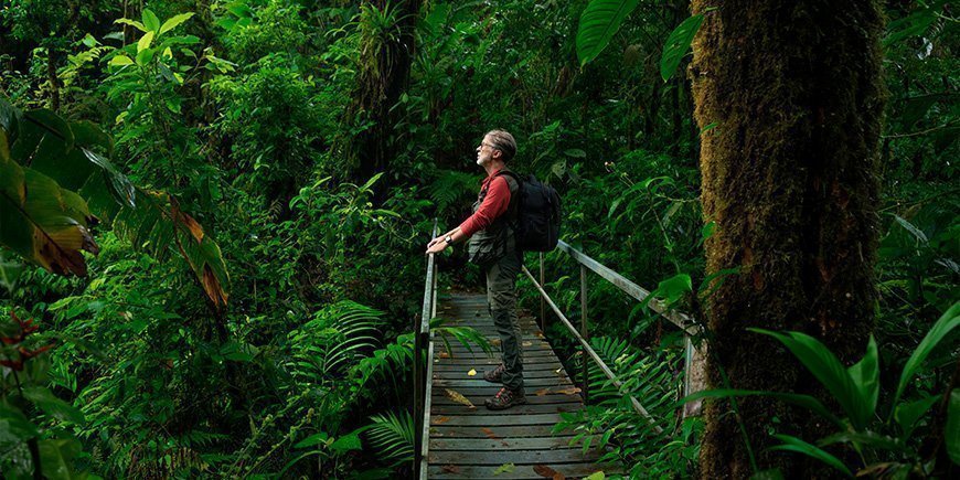 Mann står på en bro i jungelen på Costa Rica