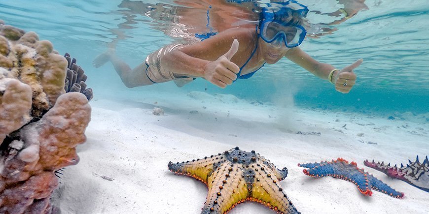 Kvinne snorkler på Zanzibar og finner sjøstjerner
