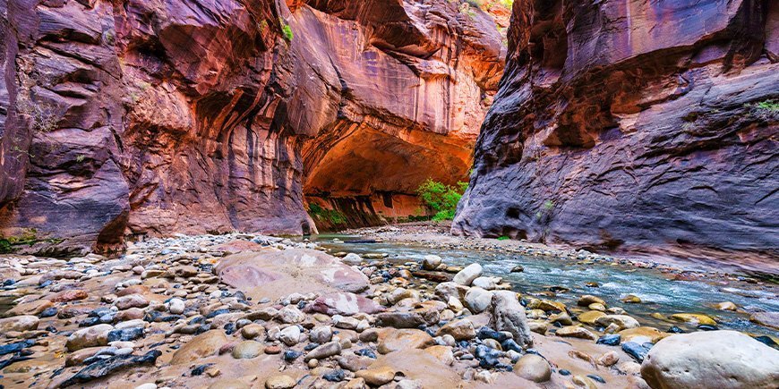 "The Narrow" i Zion nasjonalpark, USA