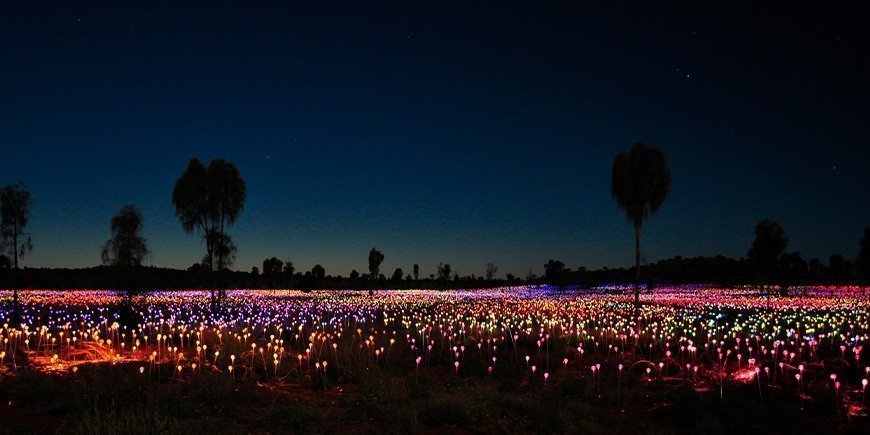 Field of light ved Uluru i Australia