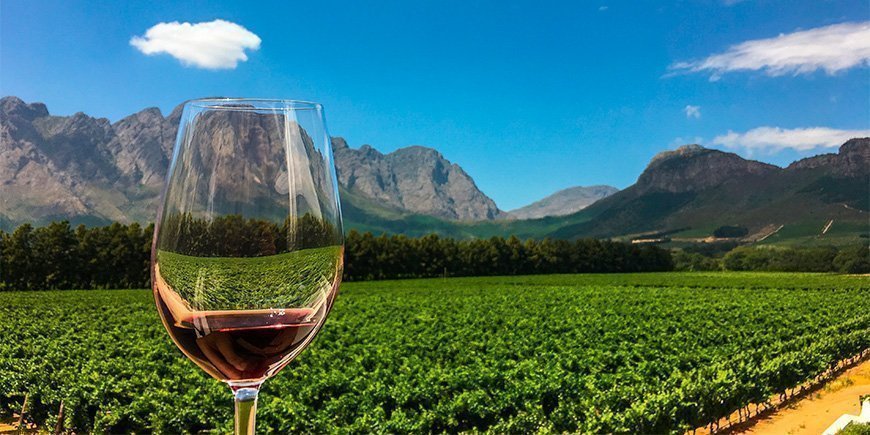 Vinsmaking i Franschhoek i Western Cape, Sør-Afrika.