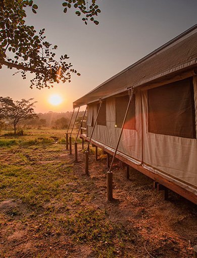 Nkambeni Tented Camp, Sør-Afrika