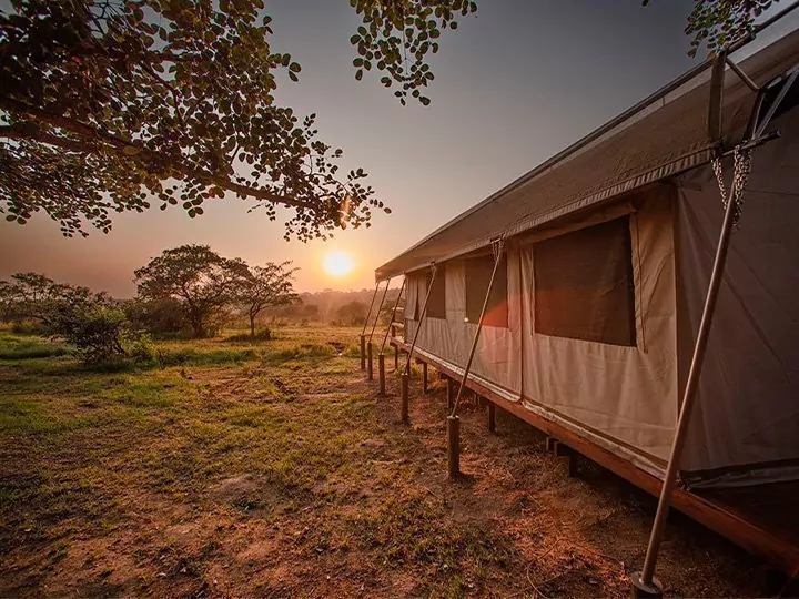 Nkambeni Tented Camp, Sør-Afrika