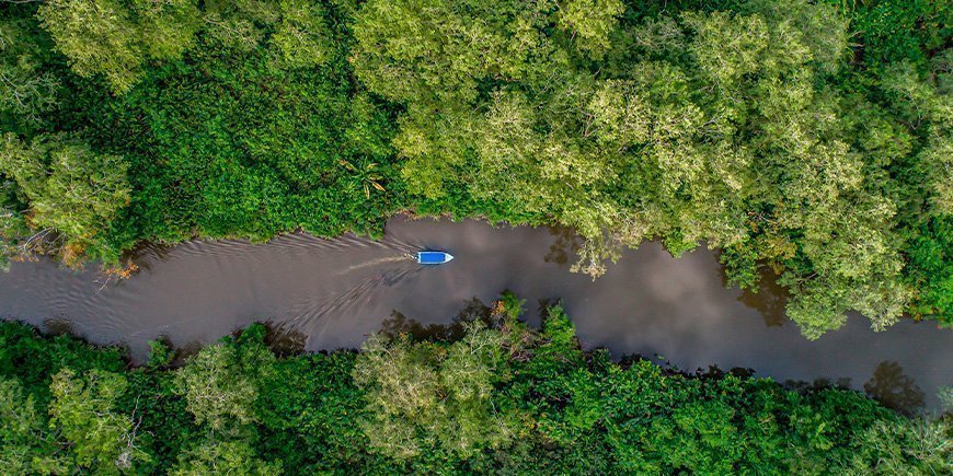 Elven Rio Sierpe sett ovenfra i Corcovado nasjonalpark i Costa Rica