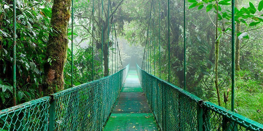 Tåke omgir hengebro i Monteverde, Costa Rica