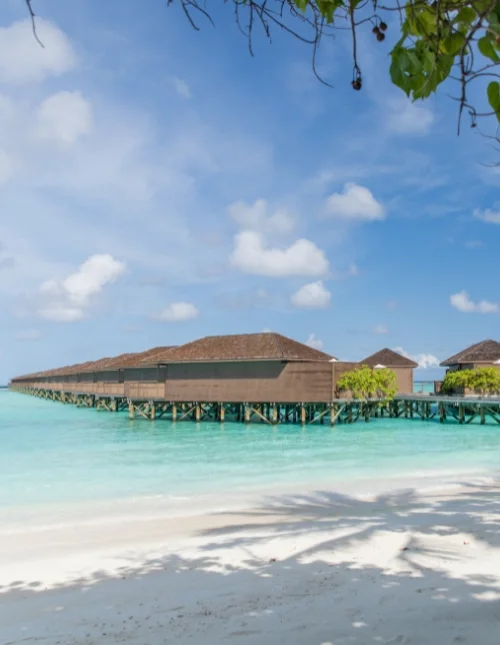 Sri Lankas høydepunkter & badeferie på Maldivene