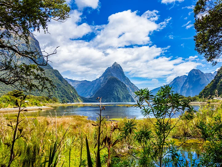 New Zealands høydepunkter