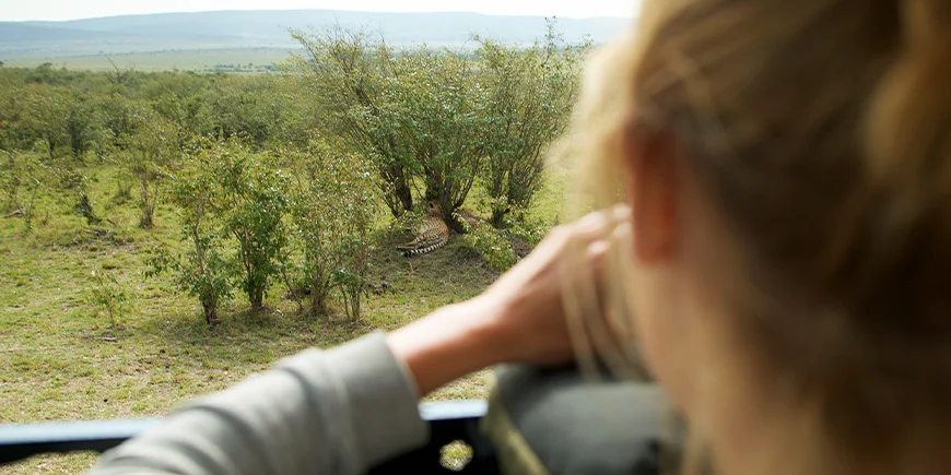 Kvinne som tar bilde av en gepard i Masai Mara.