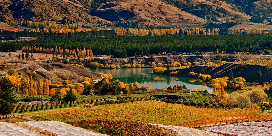 Central Otago i høstfarger