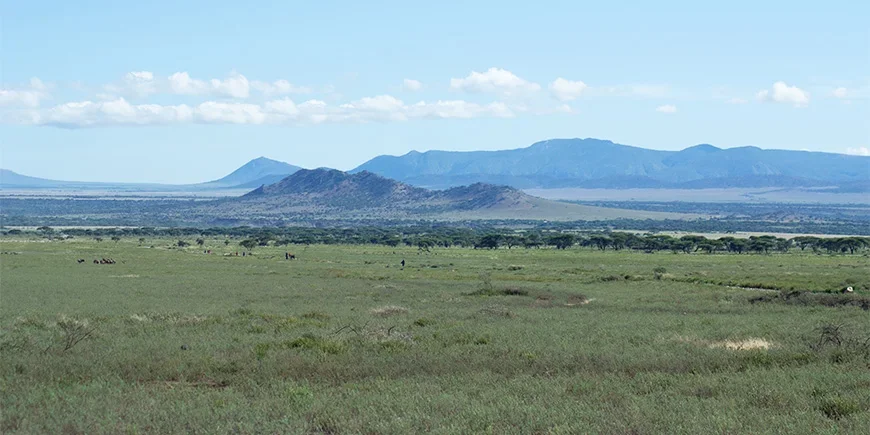 De åpne slettene i Serengeti