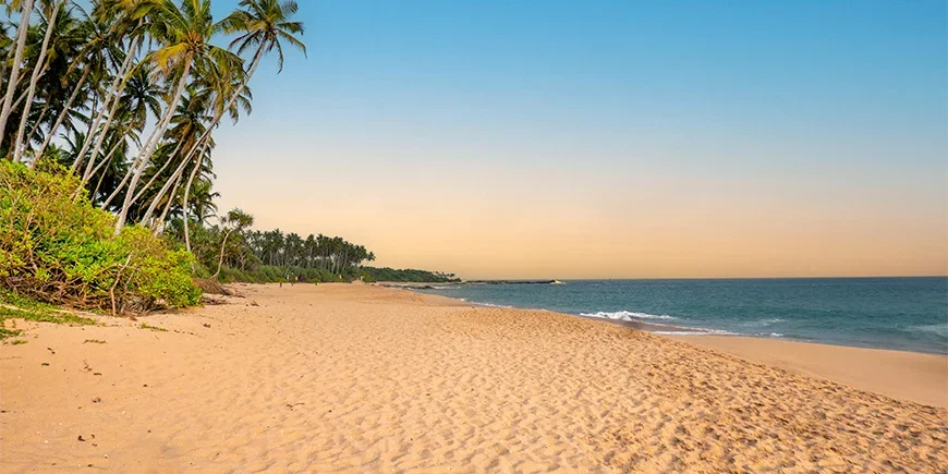 Vakkert lys på Negombo Beach