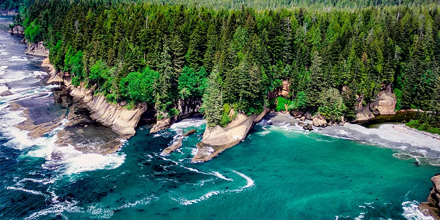 Pacific Rim på Vancouver Island i vestlige Canada.