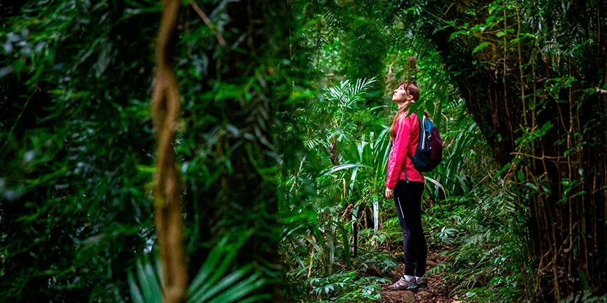 Kvinner utforsker Lamington nasjonalpark i Australia