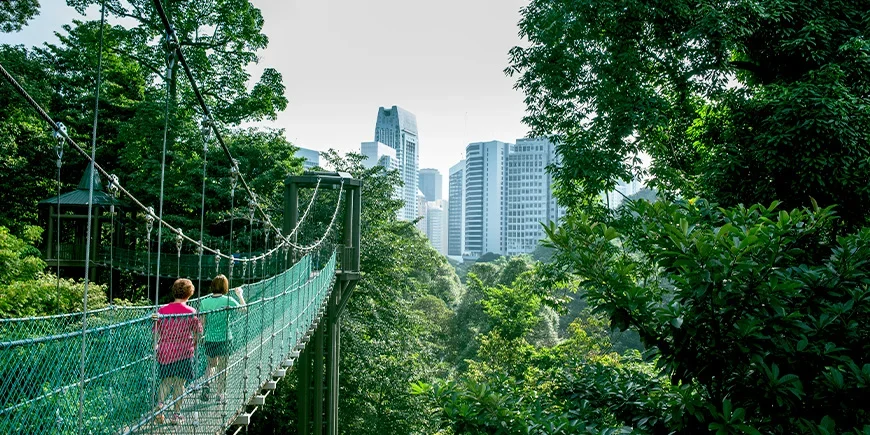 To kvinner går på en hengebro i KL Forest Eco Park i Kuala Lumpur