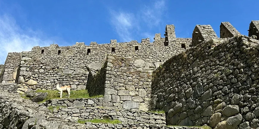 Nært ruinene ved Machu Picchu