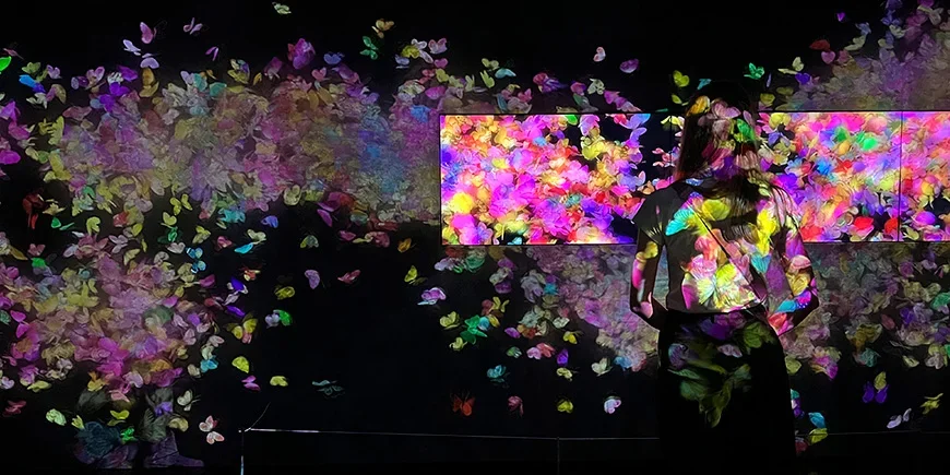 Rosa lysshow i TeamLab Bordeless