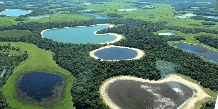 Luftfoto av naturområder i Pantanal i Brasil