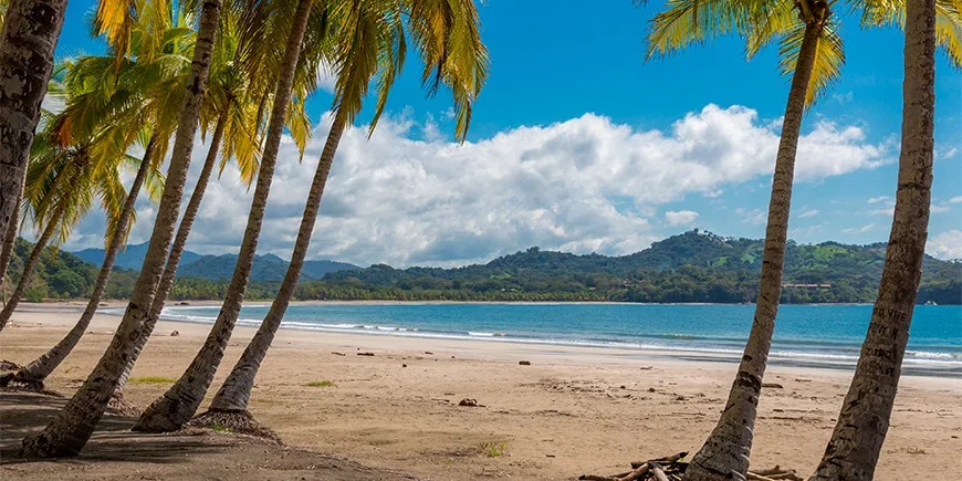 Palmetrær og blå himmel på Sámara-stranden i Costa Rica