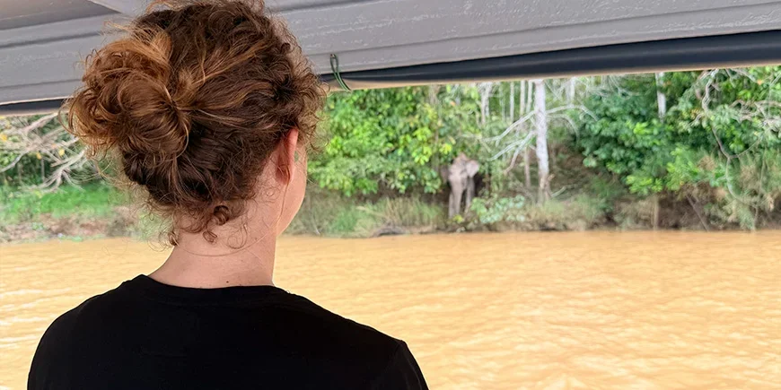 Jude fra TourCompass ser på elefanter ved Kinabatangan-elven