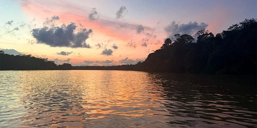 Vakker solnedgang over Kinabatangan-elven på Borneo