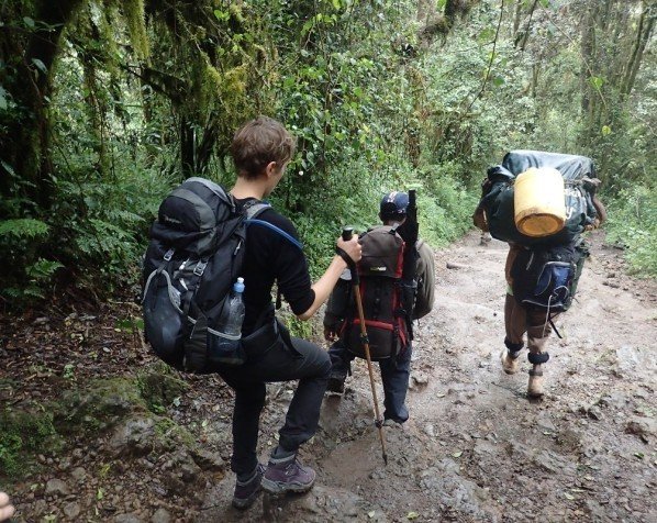 Nedstigning fra Kilimanjaro