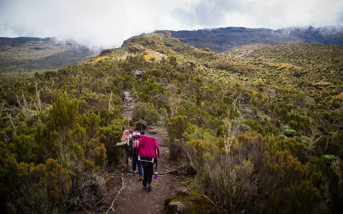 Vandring gjennom heilandskapet