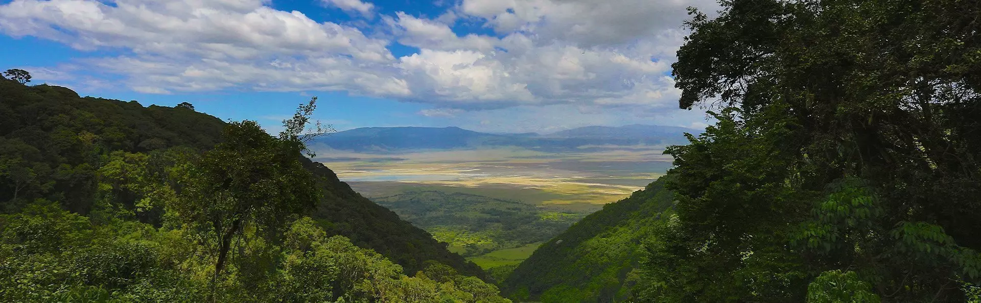 Oversiktsbilde fra Ngorongoro i Tanzania
