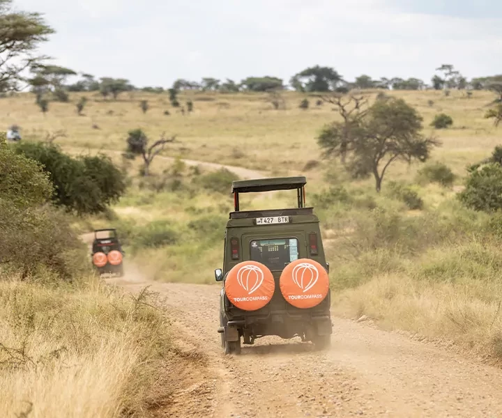 De beste safarilandene i Afrika