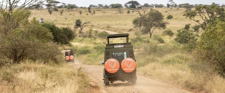 De beste safarilandene i Afrika