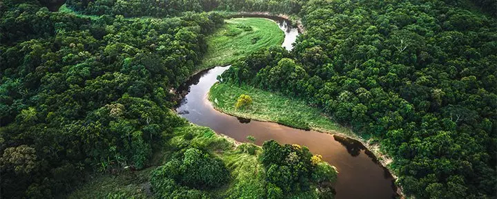 Luftfoto av Amazonasregnskogen i Manaus, Brasil