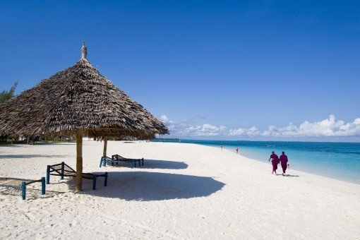 Strandliv på Zanzibar