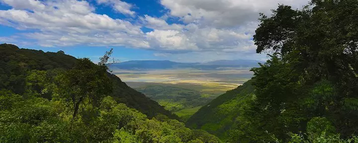 Oversiktsbilde fra Ngorongoro i Tanzania