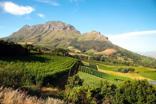 Utenfor Cape Town er det vakre utsikter mot vinmarker og fjell